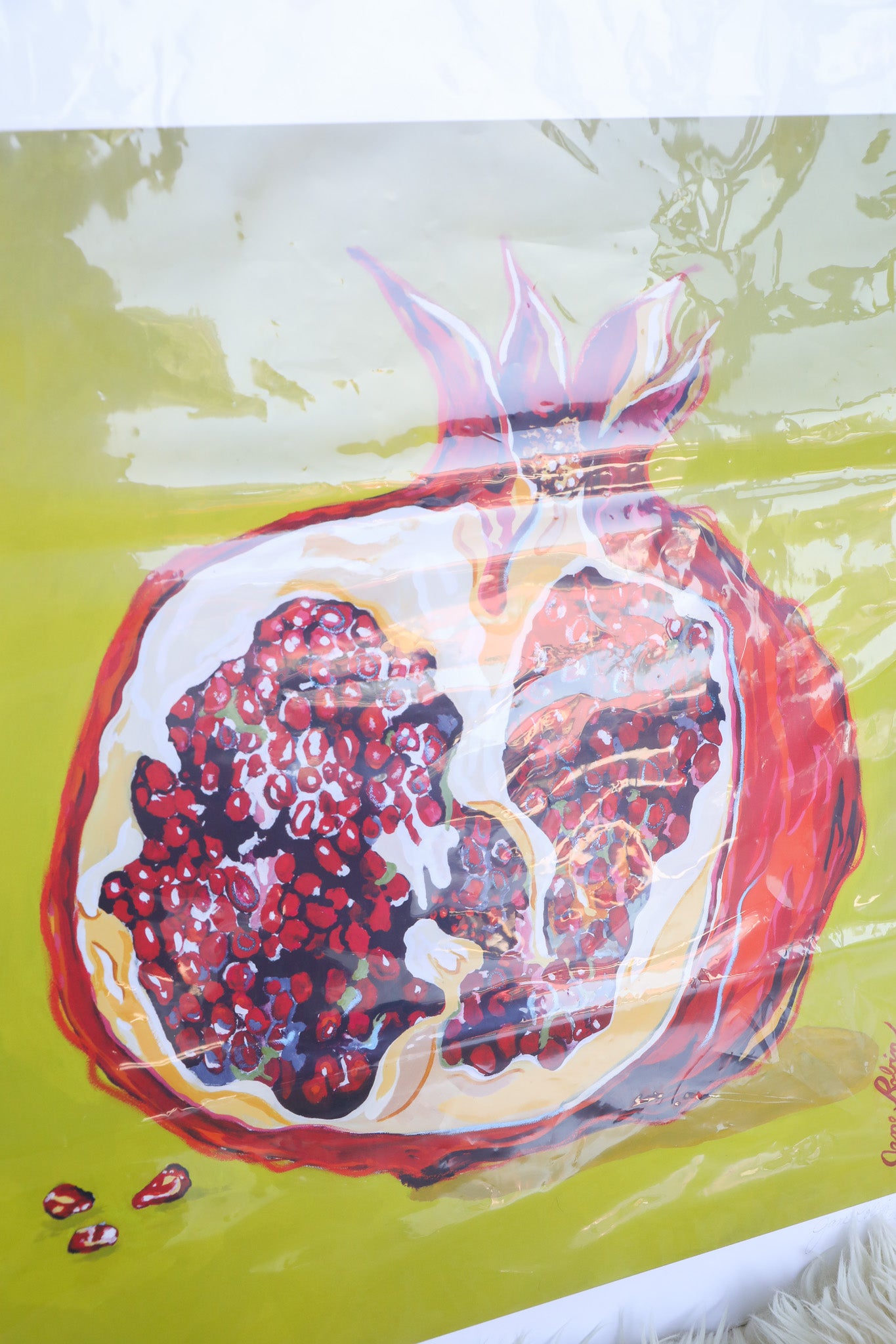 JR 24x24 "Pop of Color (Pomegranate)" Print