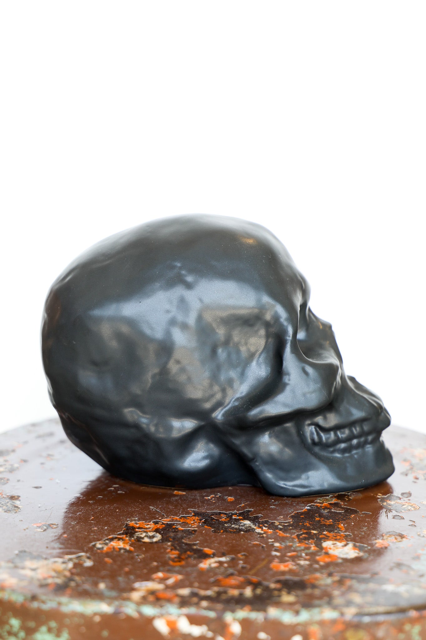 Ceramic Skull