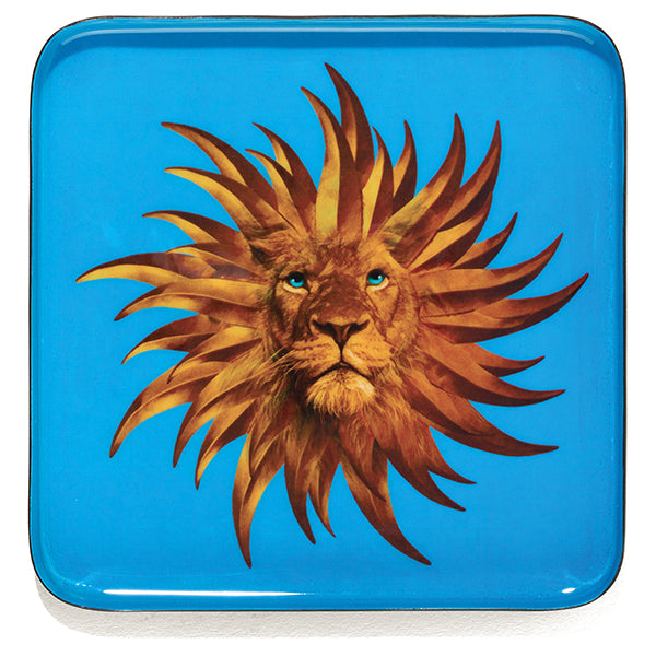 Gangzai Solar King Trinket Tray