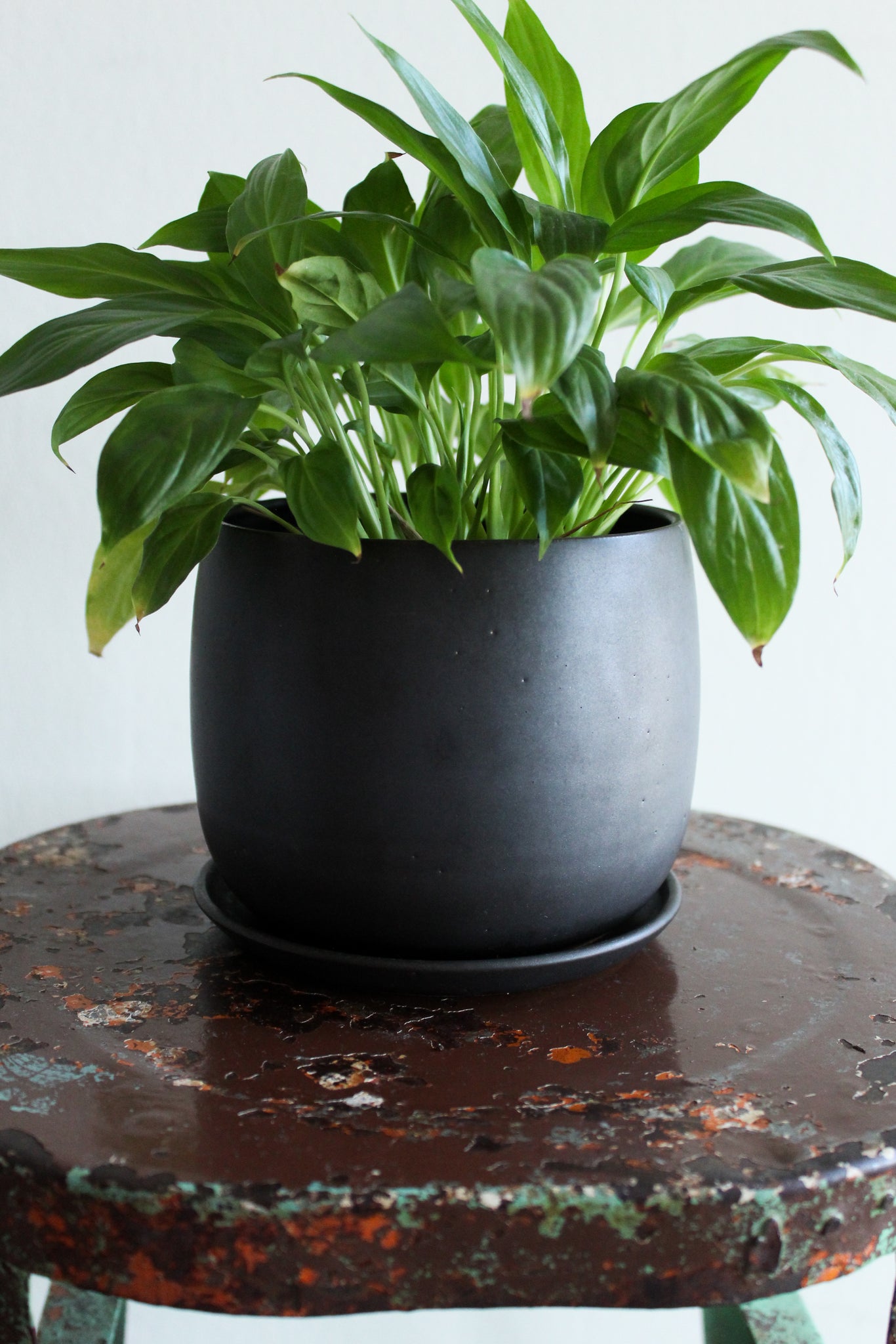 Soul Matter Black Planter with Dish