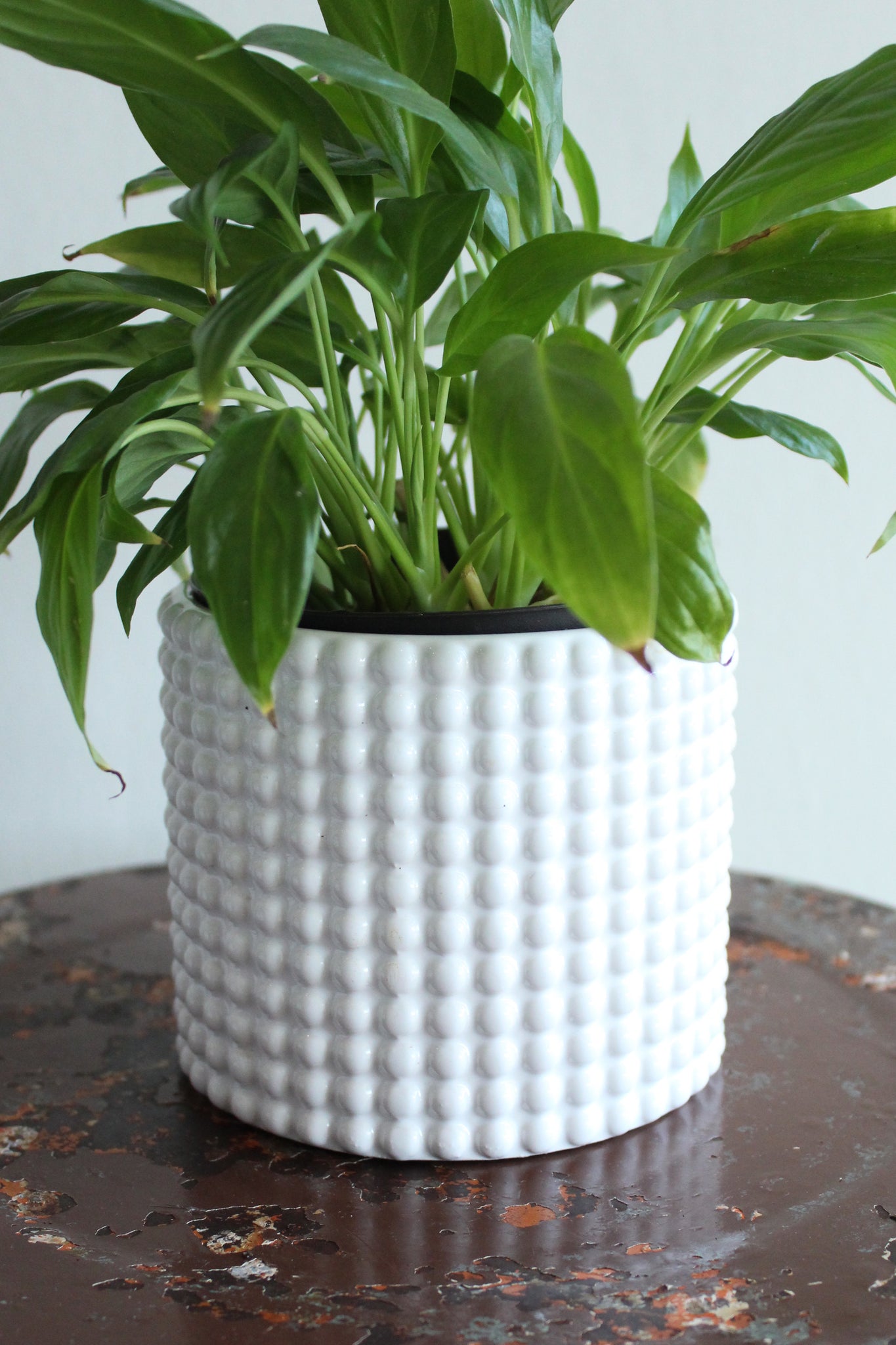 White Hobnail Ceramic Planter (Medium)