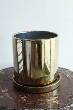 Golden Ceramic Cylinder Planter (Medium)