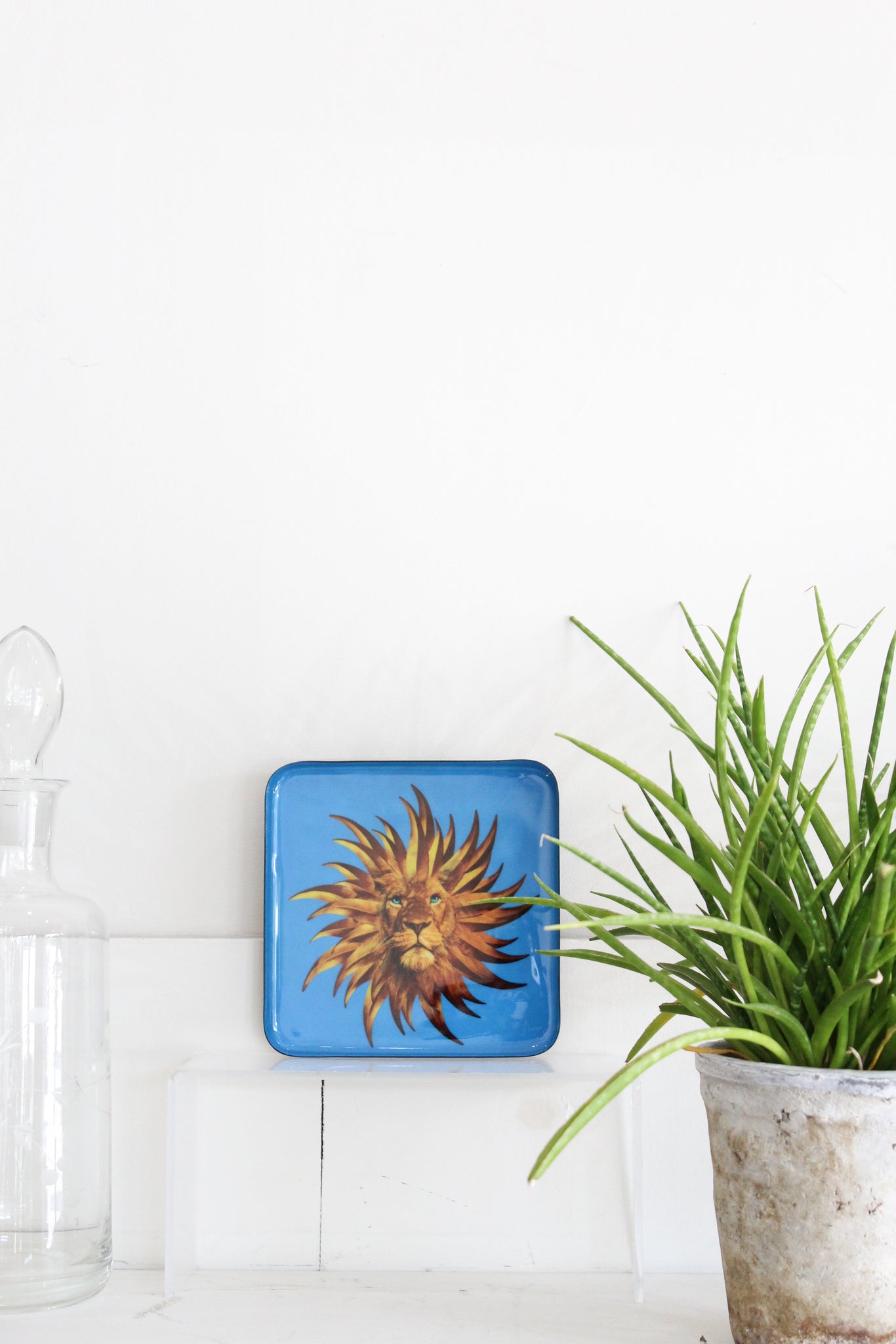 Gangzai Solar King Trinket Tray