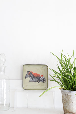 Gangzai Siesta Catchall