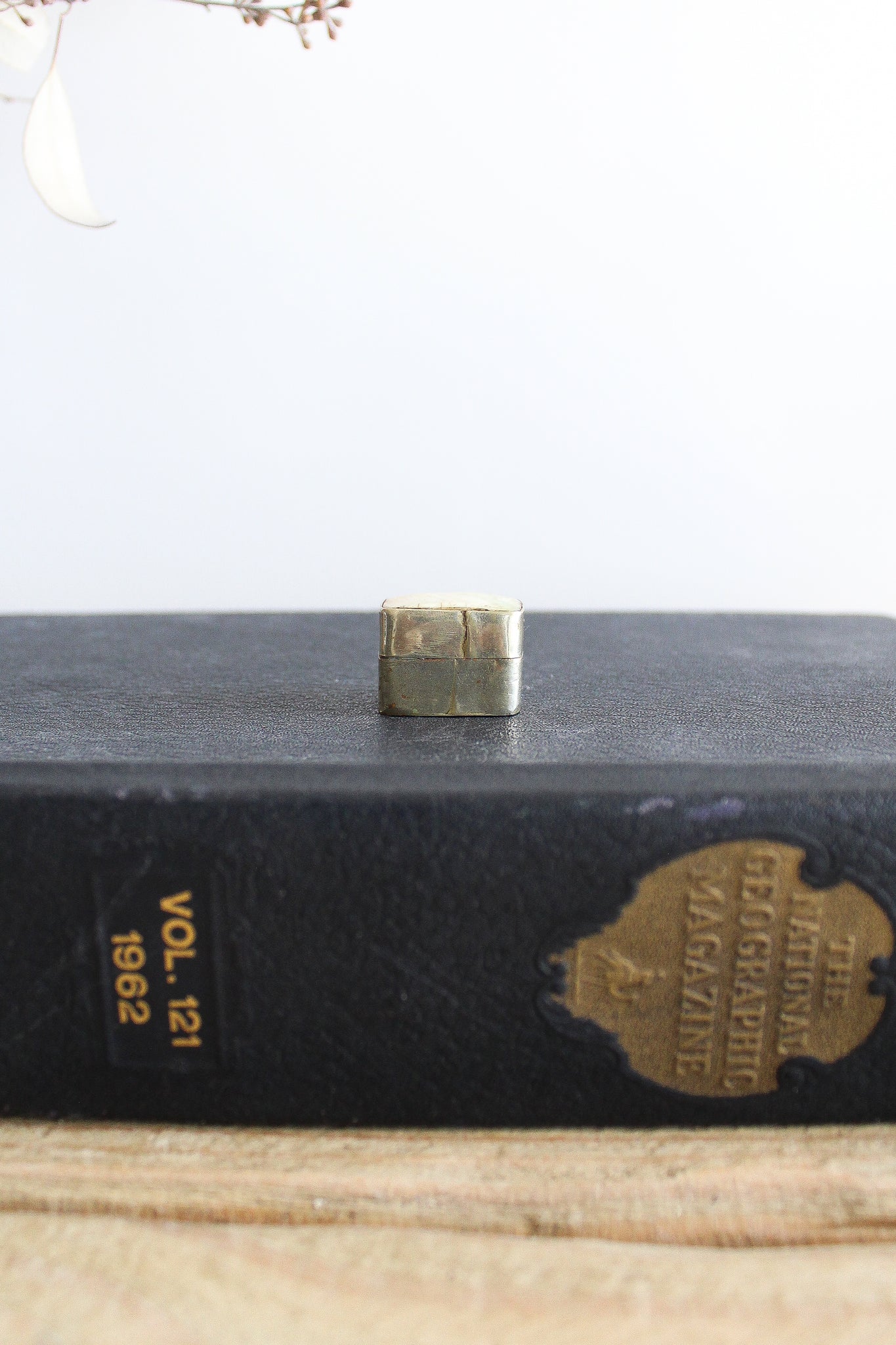 Vintage SS Bone Inlay Pill Box