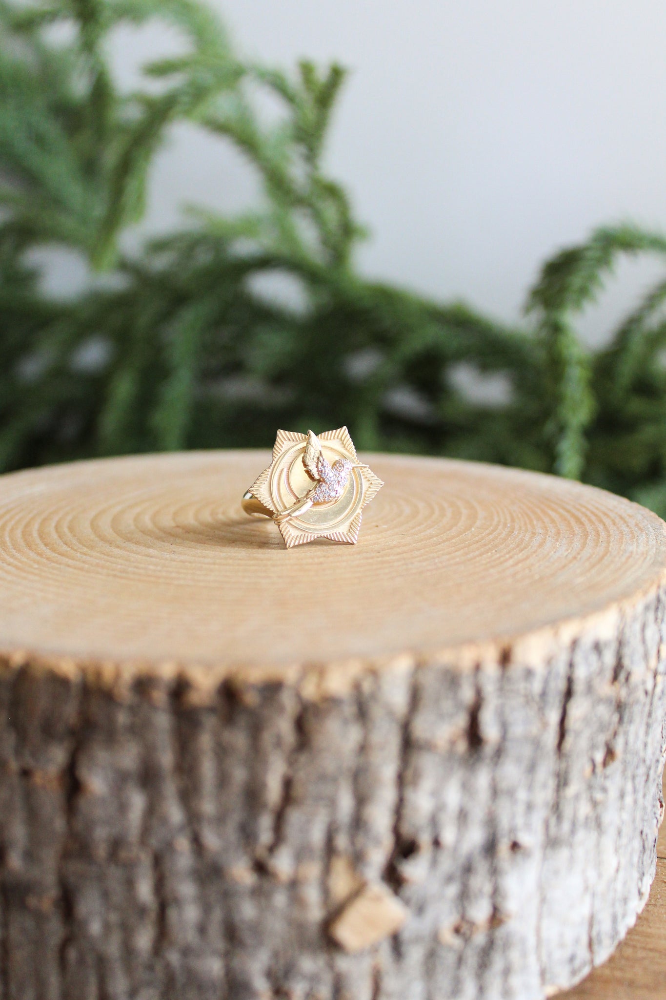 NOUSH La Fortuna Signet Ring Freedom