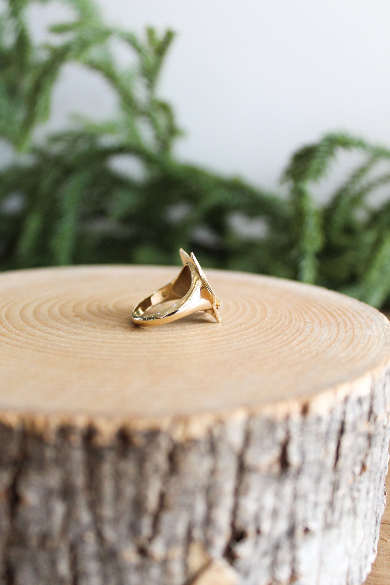 NOUSH La Fortuna Signet Ring Freedom