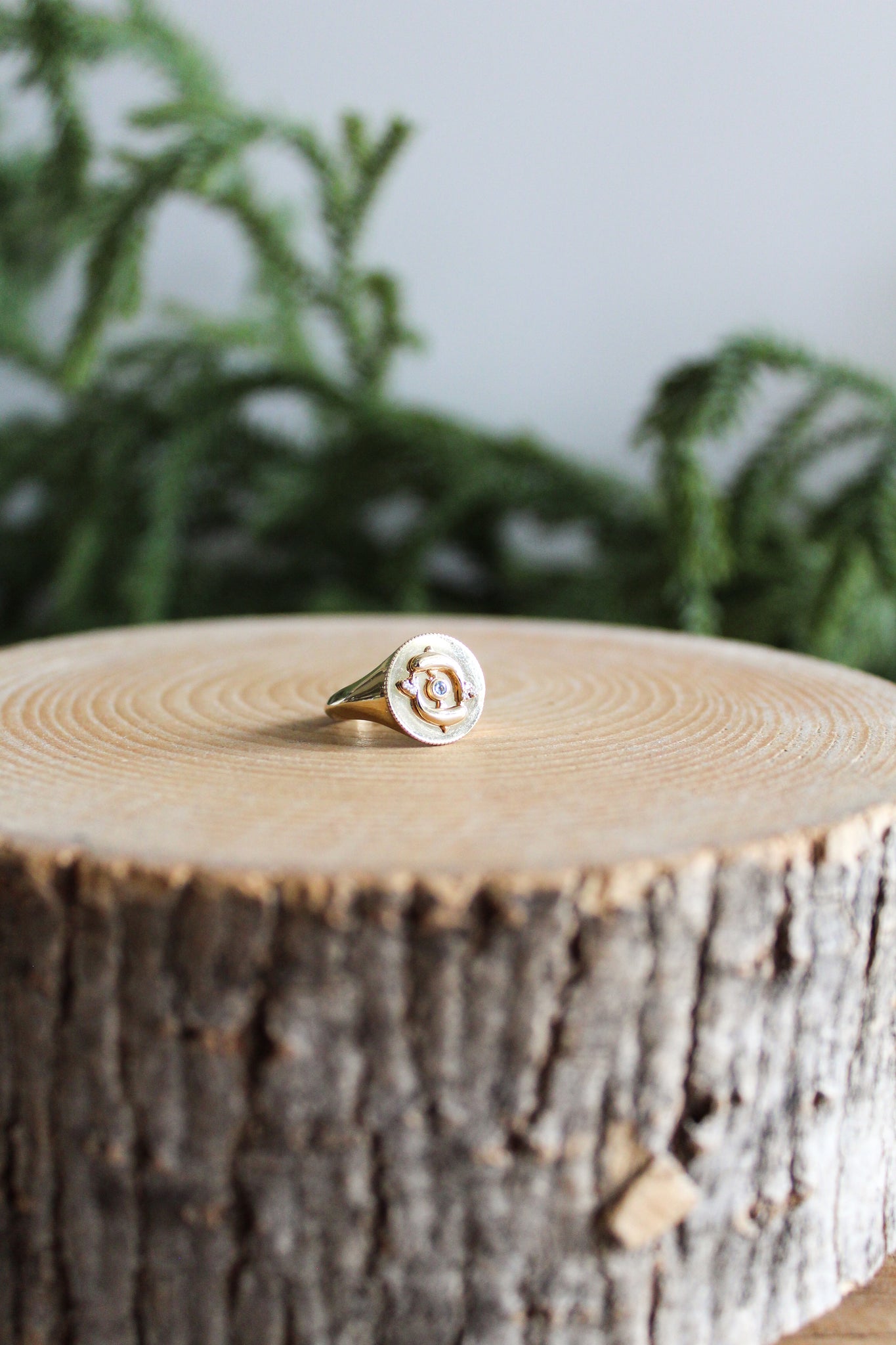 NOUSH La Fortuna Daric Signet Ring Life