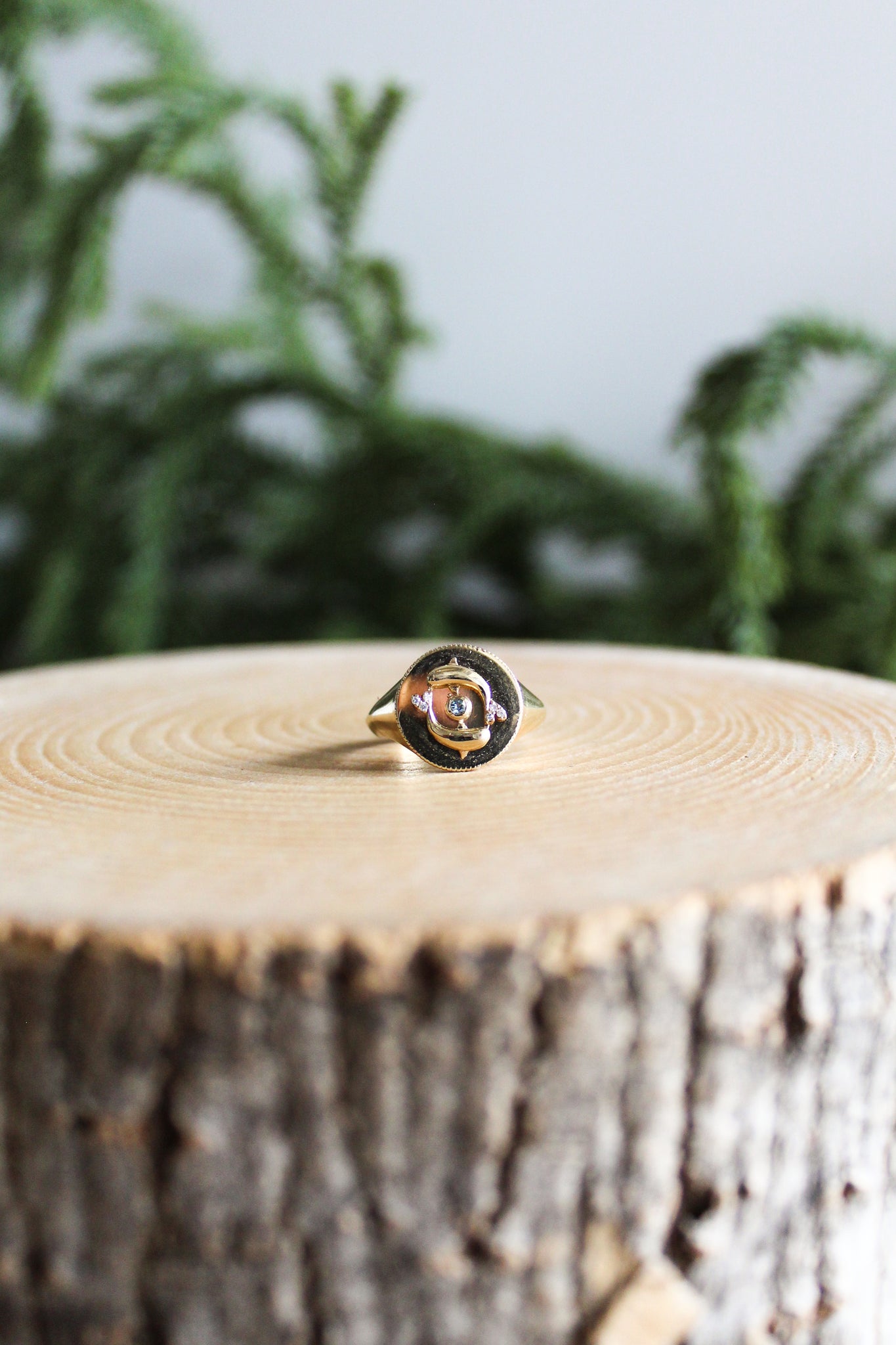 NOUSH La Fortuna Daric Signet Ring Life