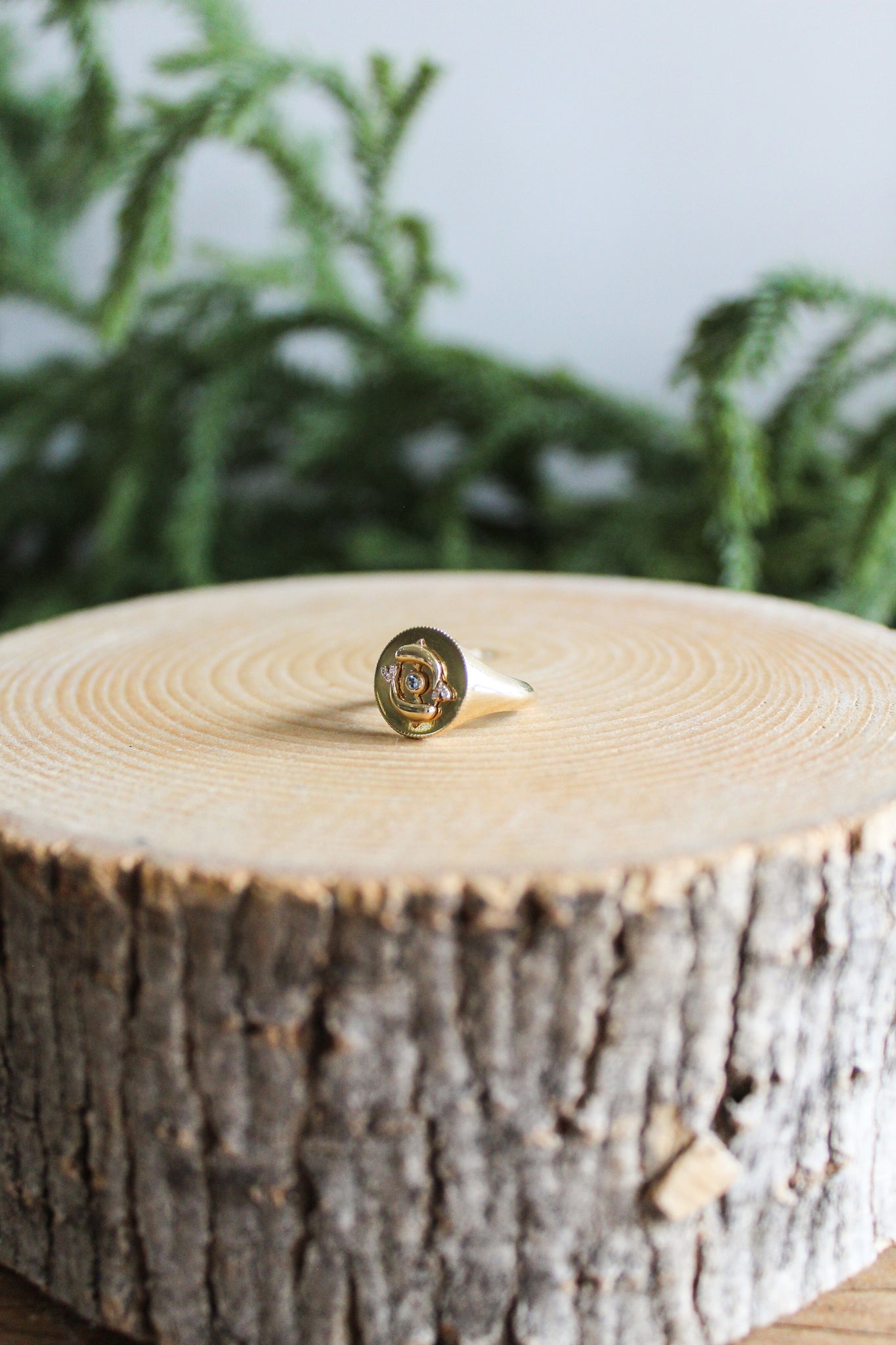 NOUSH La Fortuna Daric Signet Ring Life