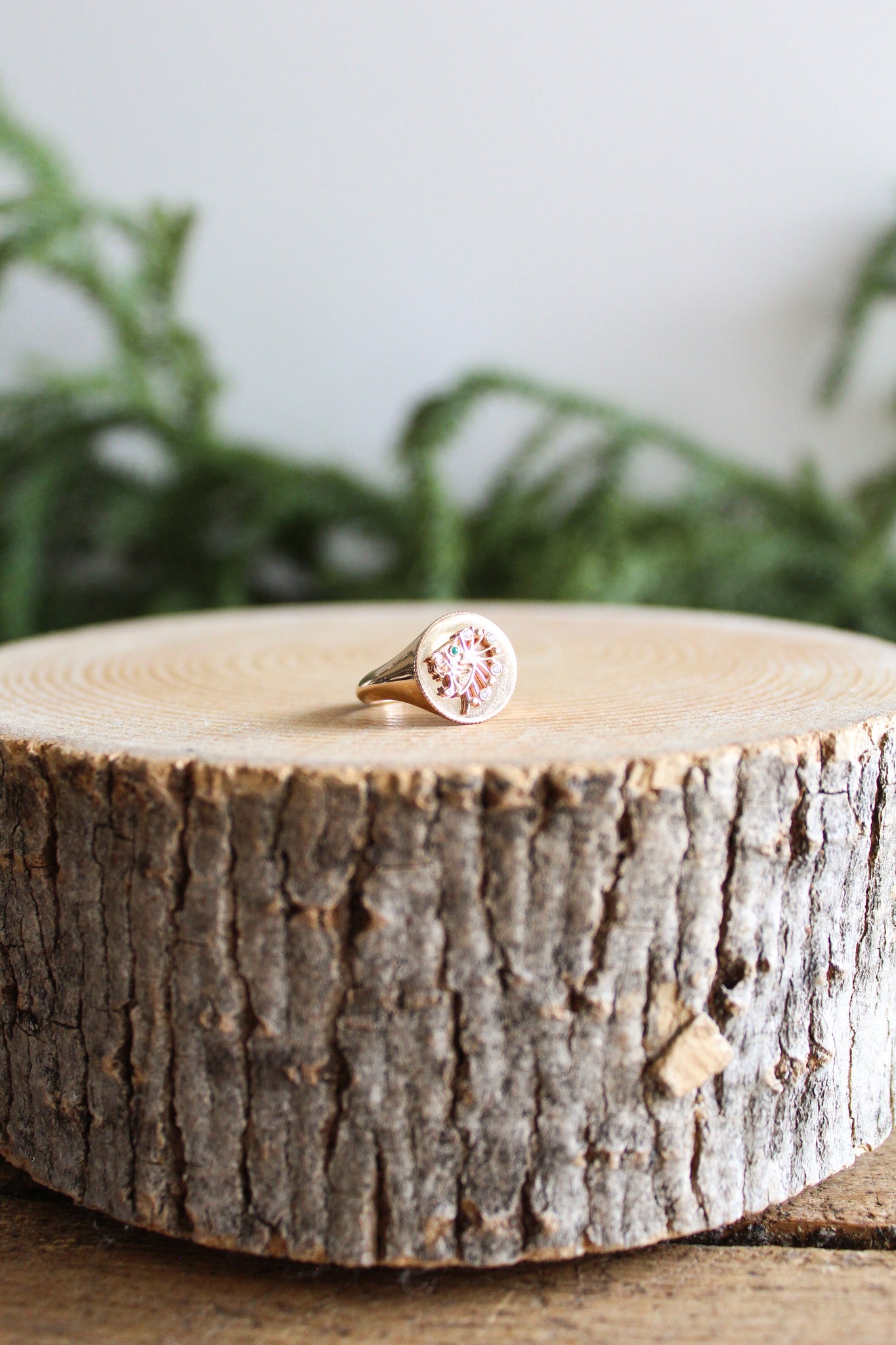 NOUSH La Fortuna Daric Signet Ring Power