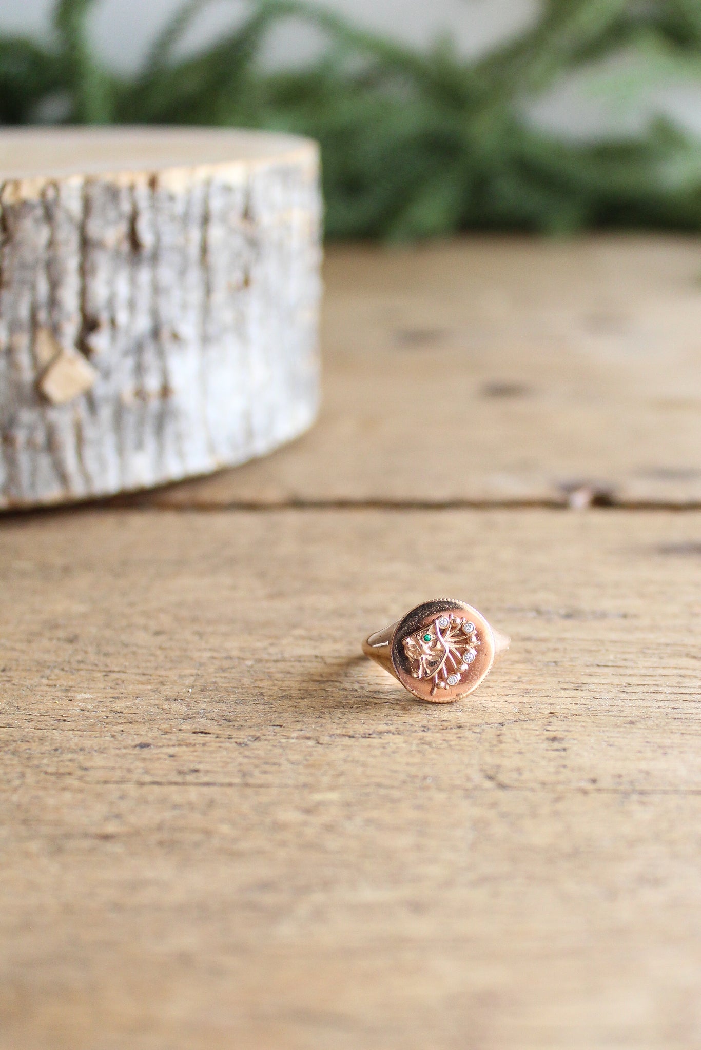 NOUSH La Fortuna Daric Signet Ring Power