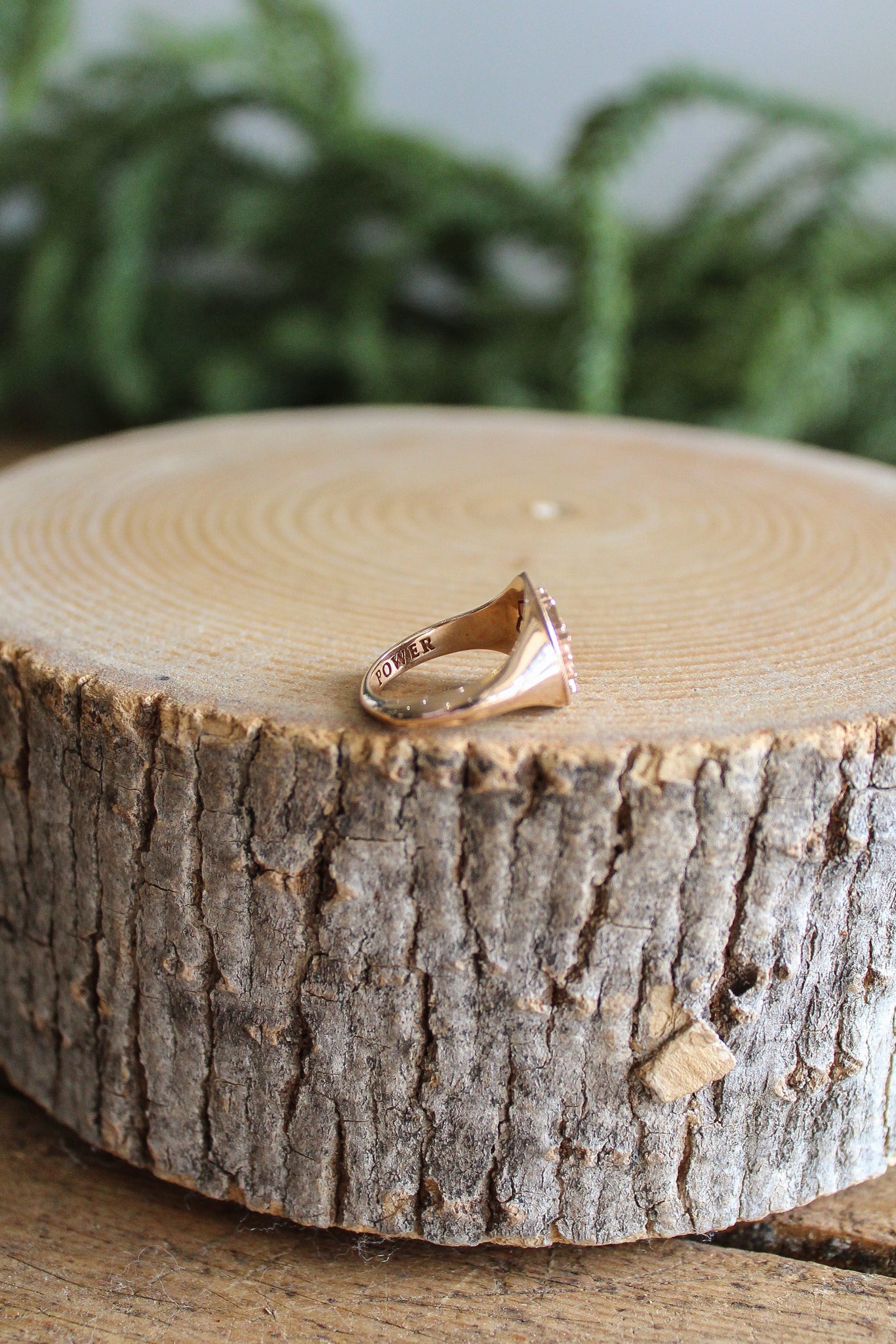 NOUSH La Fortuna Daric Signet Ring Power