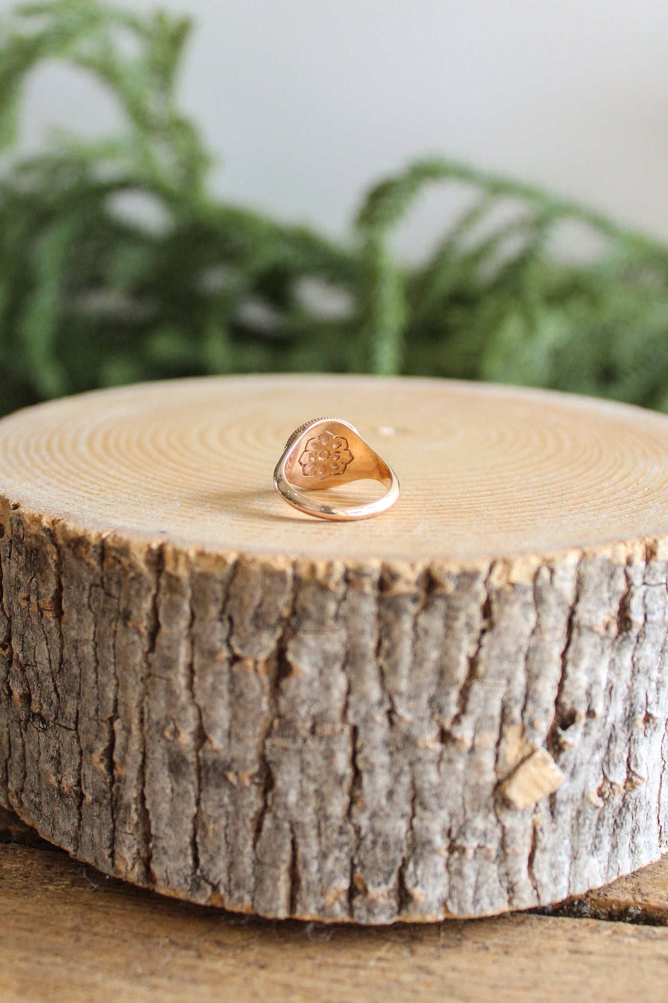 NOUSH La Fortuna Daric Signet Ring Power