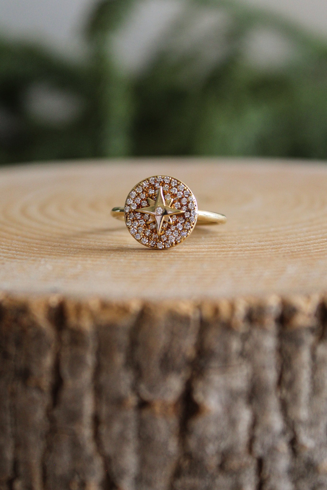 NOUSH Coexist Large North Star Ring