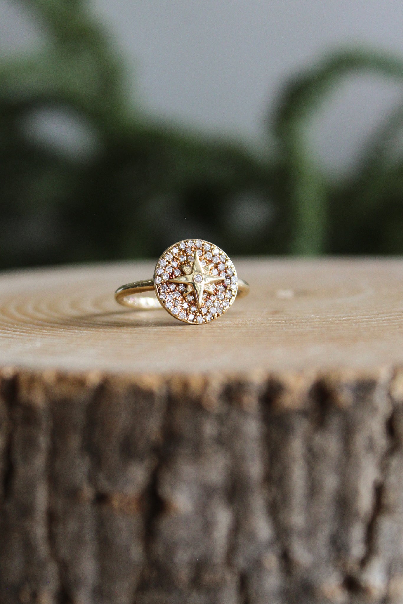 NOUSH Coexist Large North Star Ring