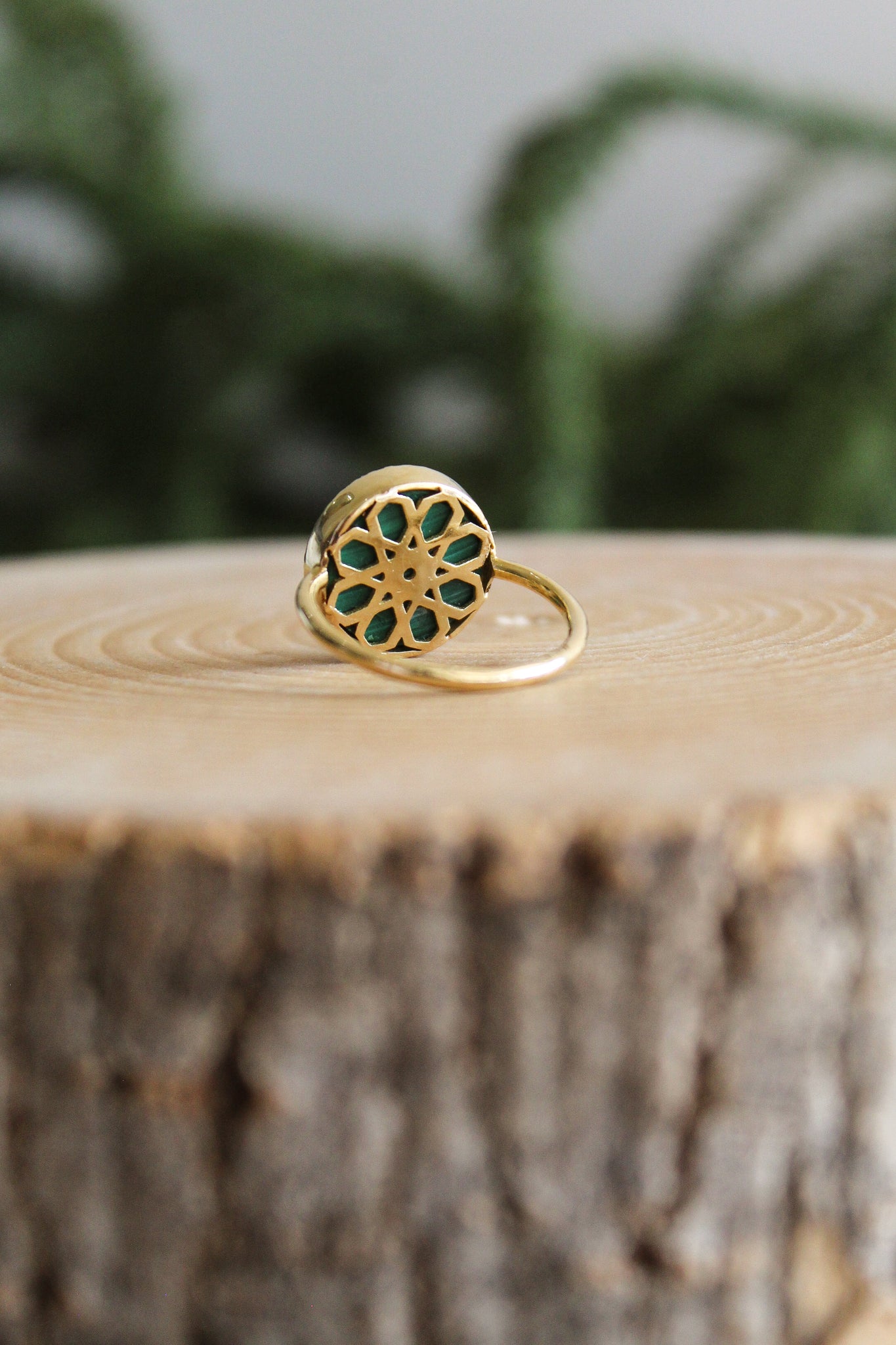 NOUSH Coexist A Ring w/Malachite