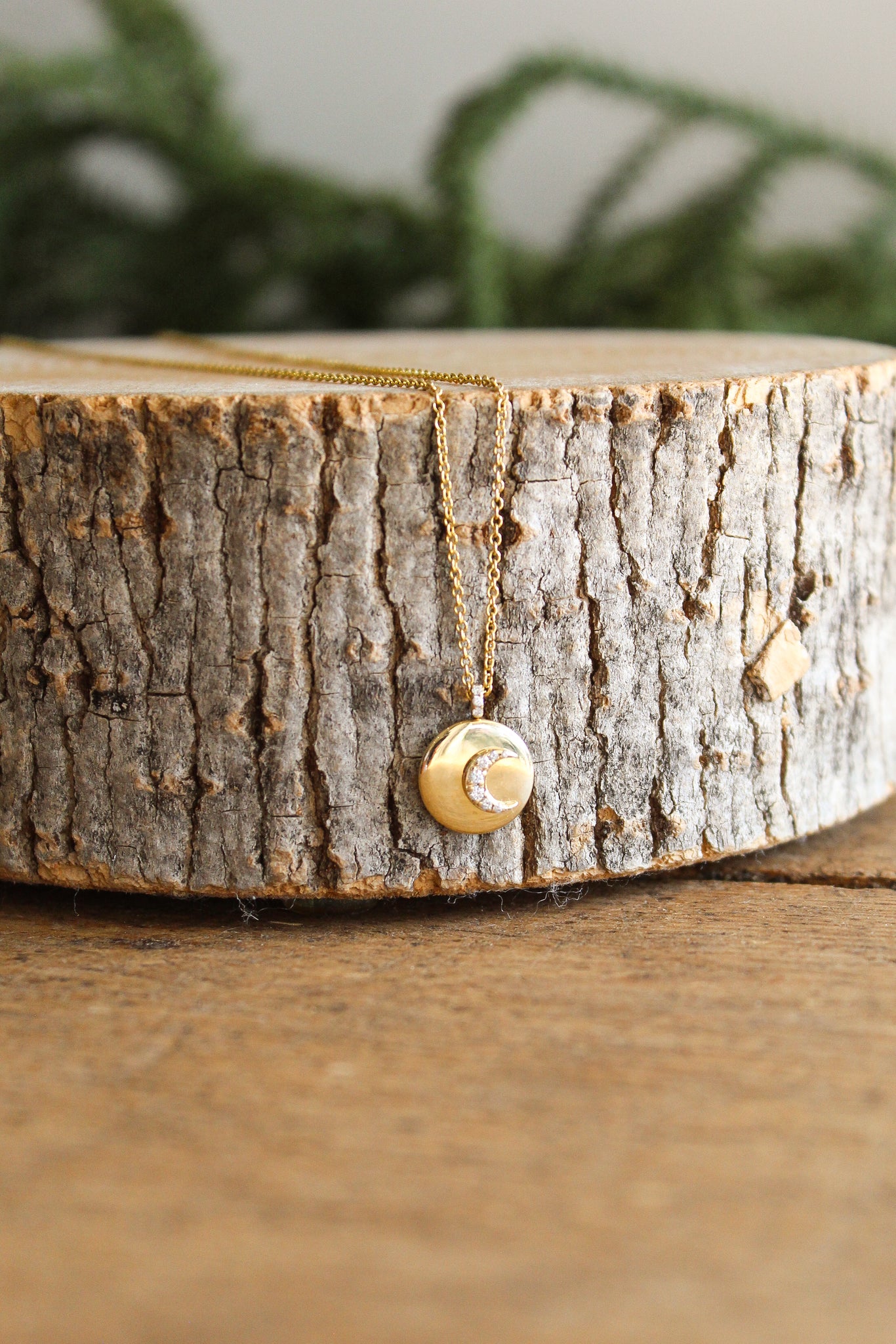 NOUSH Coexist Moon Necklace