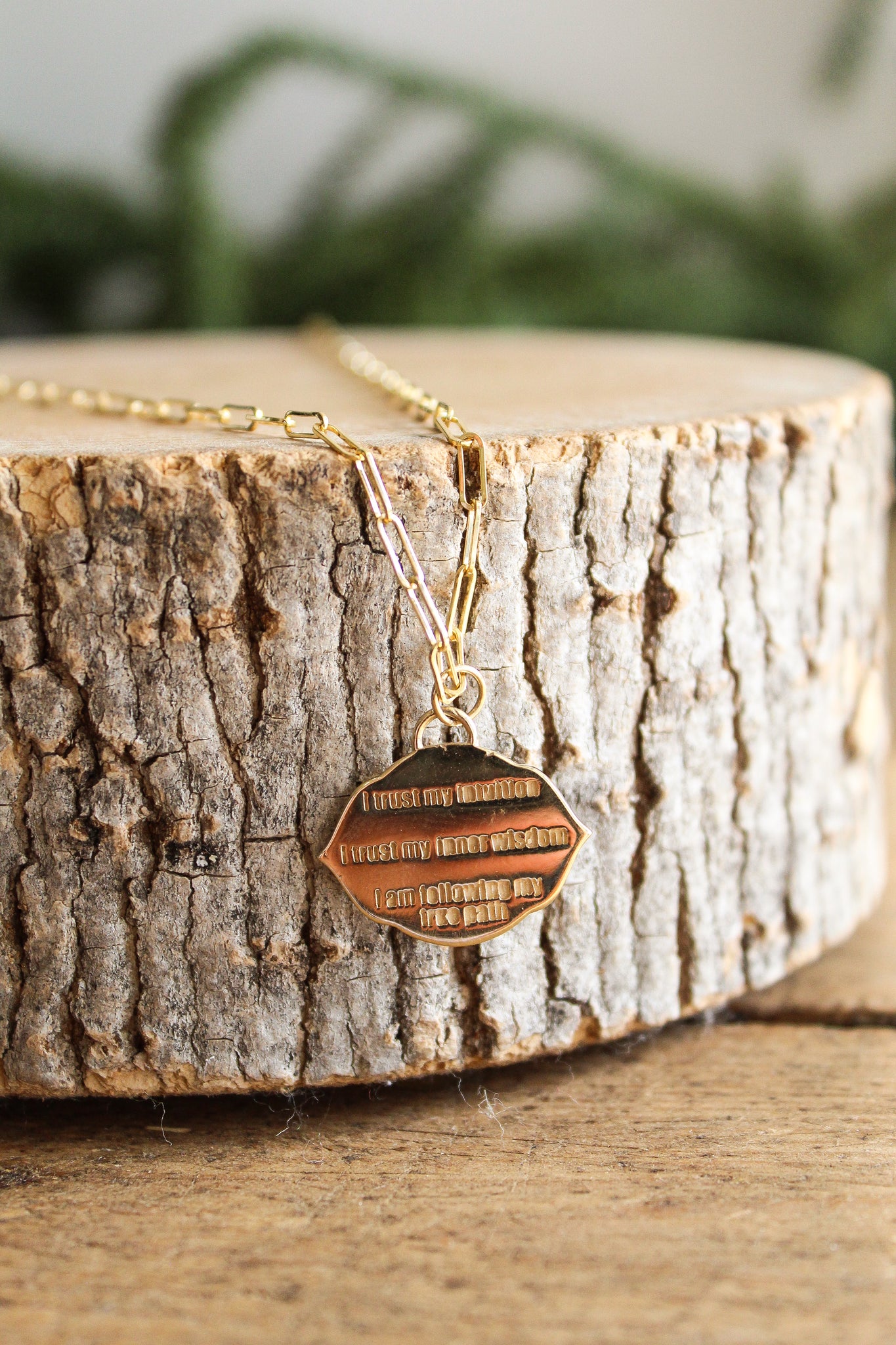 NOUSH La Fortuna Small Trust Necklace