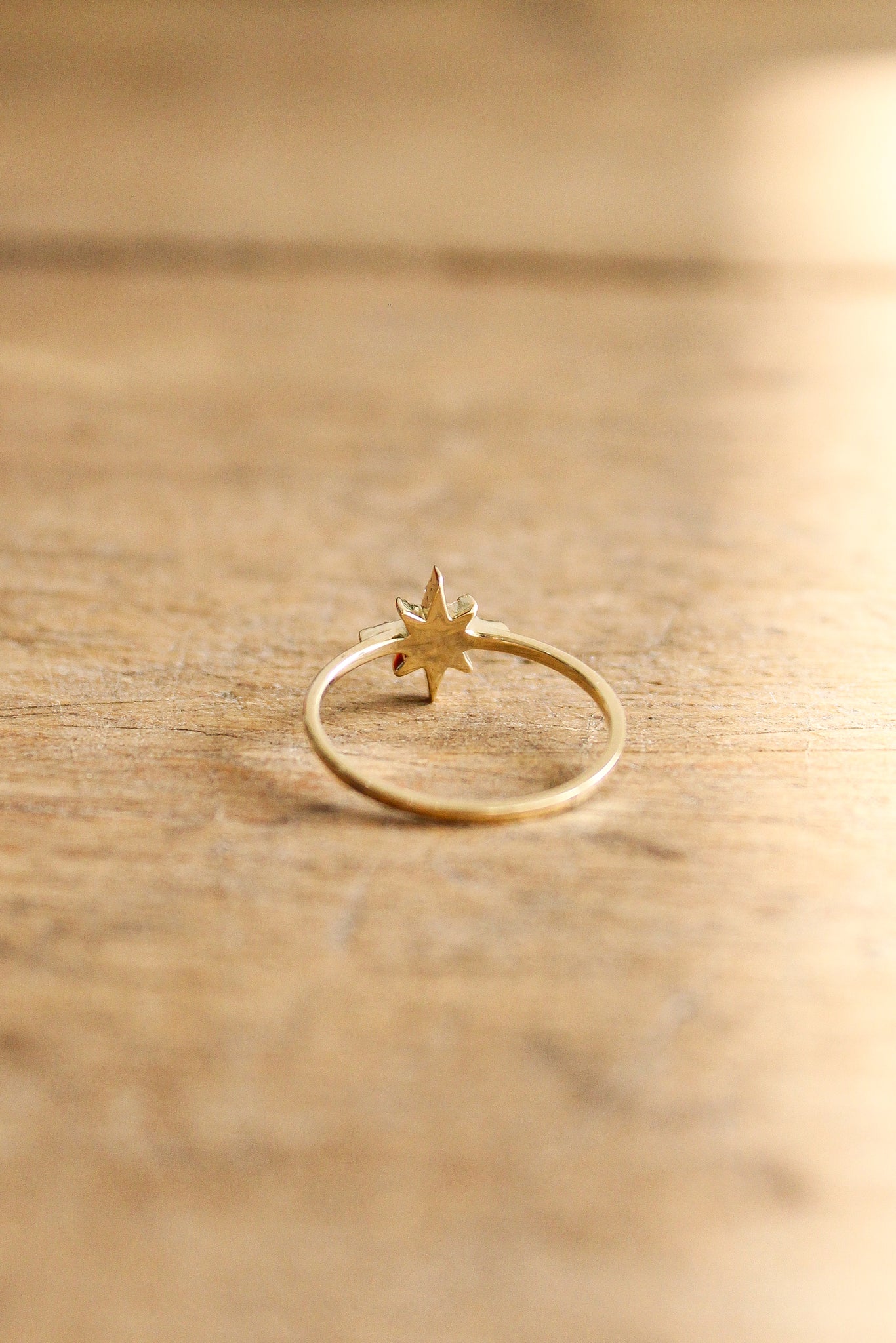 NOUSH Coexist Small North Star Ring