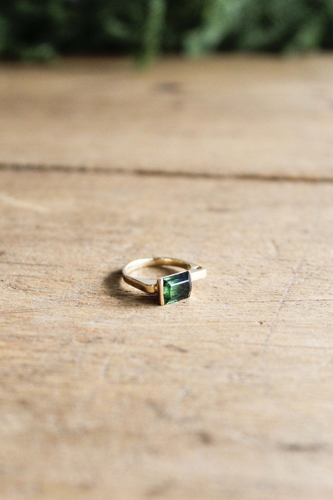 NOUSH 14k YG 6.5 Small Watermelon Tourmaline Ring