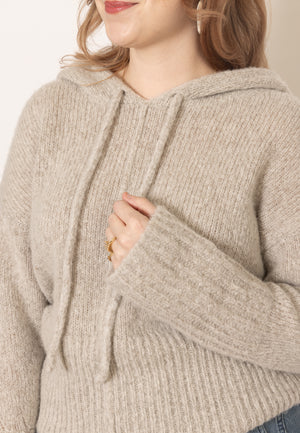 Brochu Walker Cashmere Hoodie